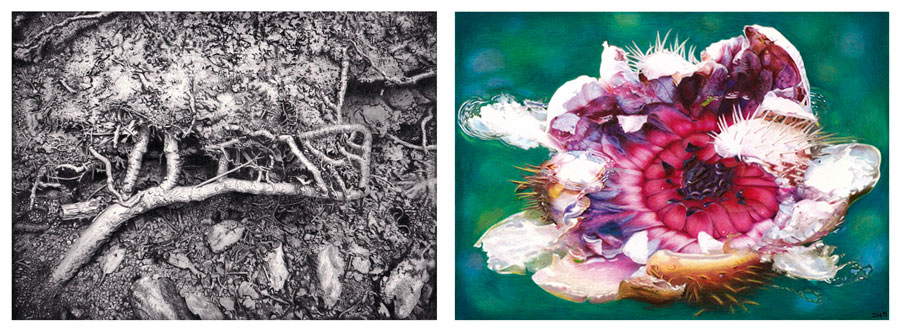Art-Creations WebVersion